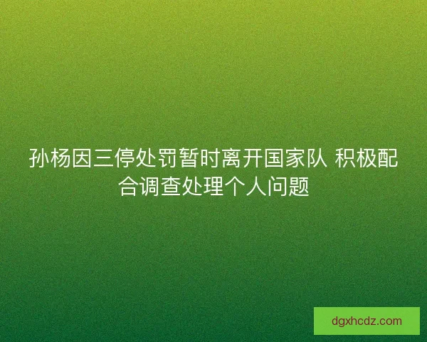 孙杨因三停处罚暂时离开国家队 积极配合调查处理个人问题